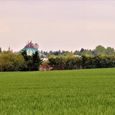 Hakuna Matata Kingdom Apartment