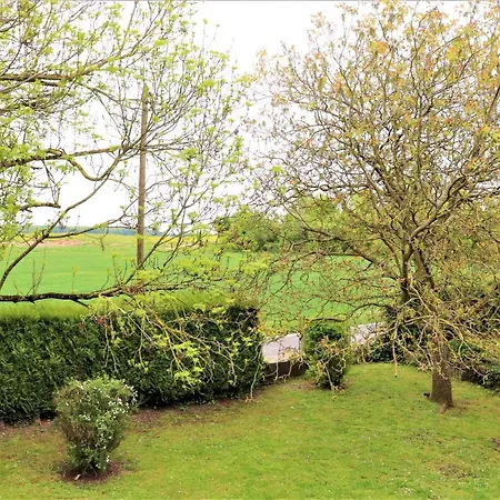 Hakuna Matata Kingdom *