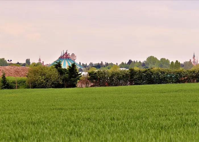 Hakuna Matata Kingdom Appartement