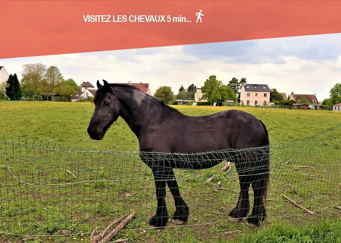 Hakuna Matata Kingdom