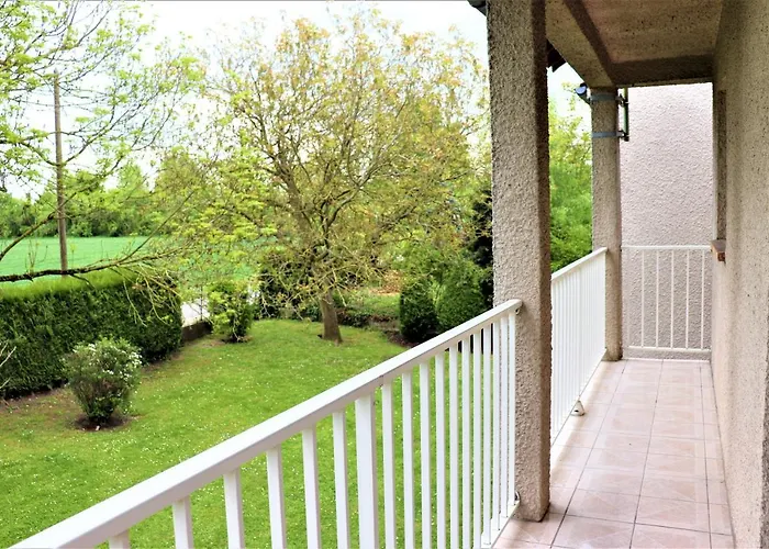 Hakuna Matata Kingdom